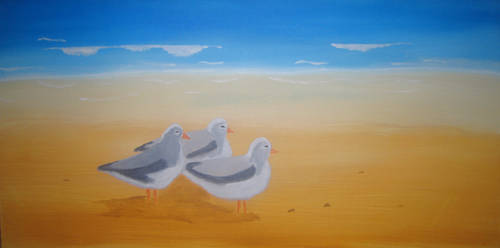 Seagulls