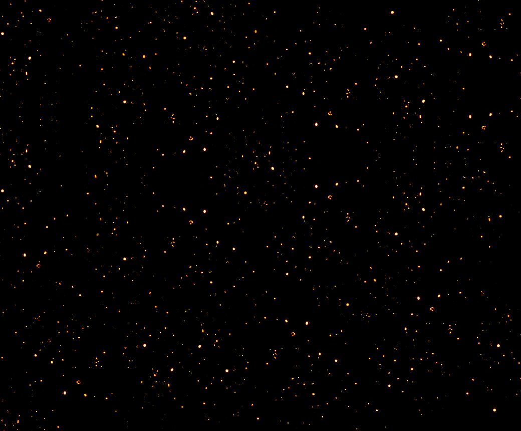 Fireflies Texture by shadowplay-gfx on DeviantArt