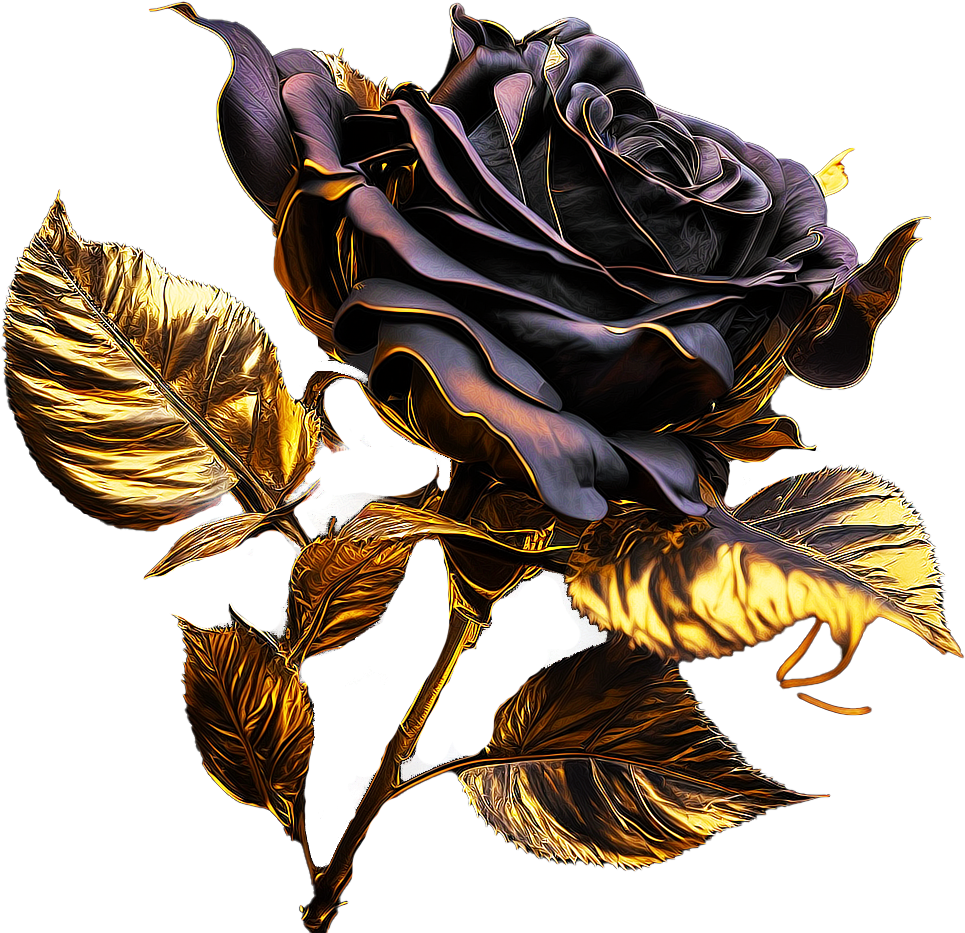 Rose black 2025 and gold