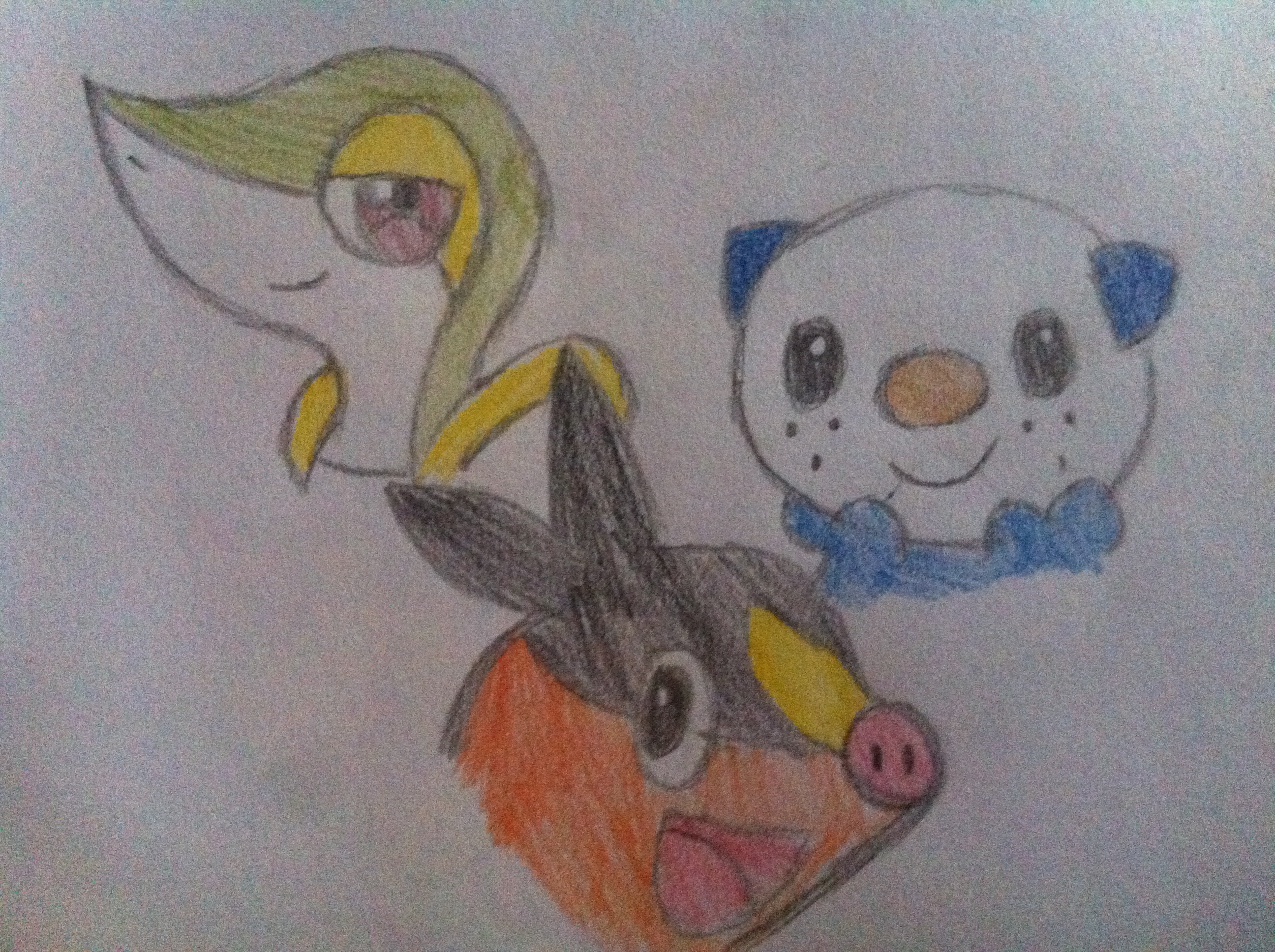 The 3 starter from Pokemon Black and White!