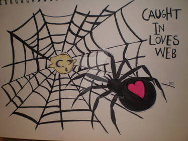 caught in loves web