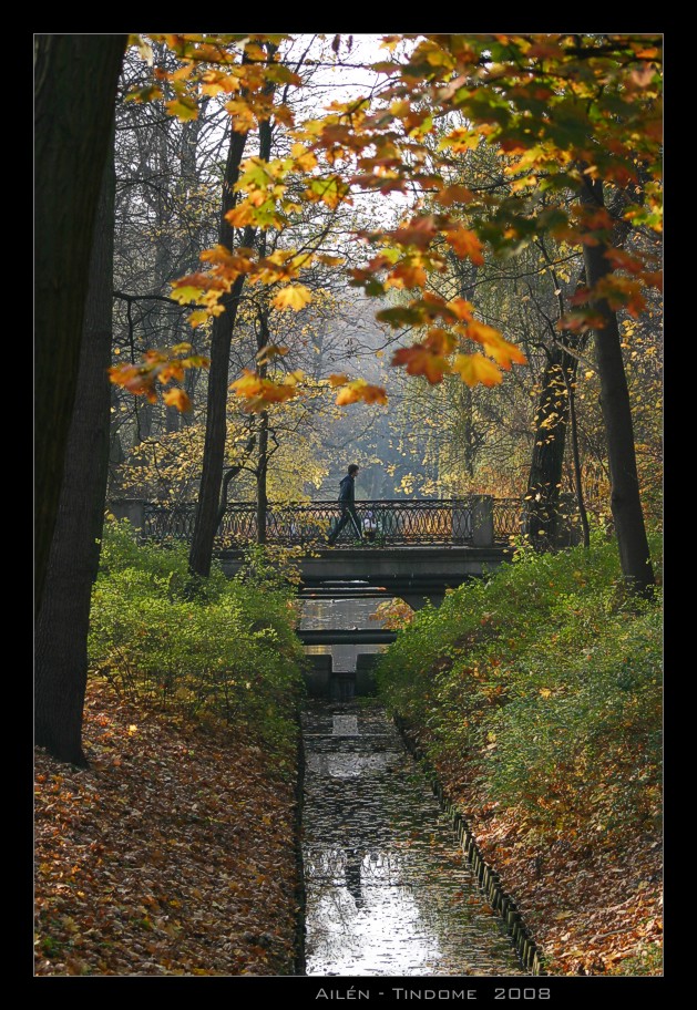 Golden walk