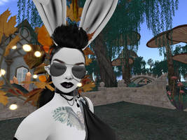 Punk bunny