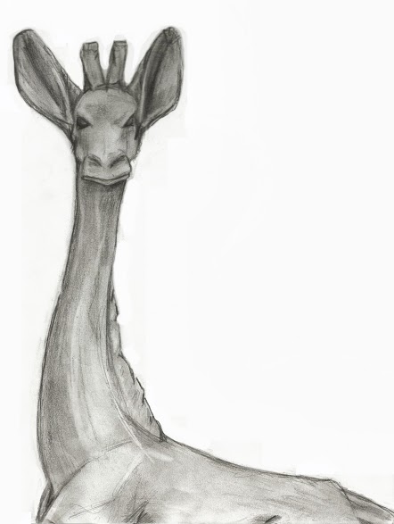 Giraffe Pencil Drawing By Audreymarcella9 On Deviantart