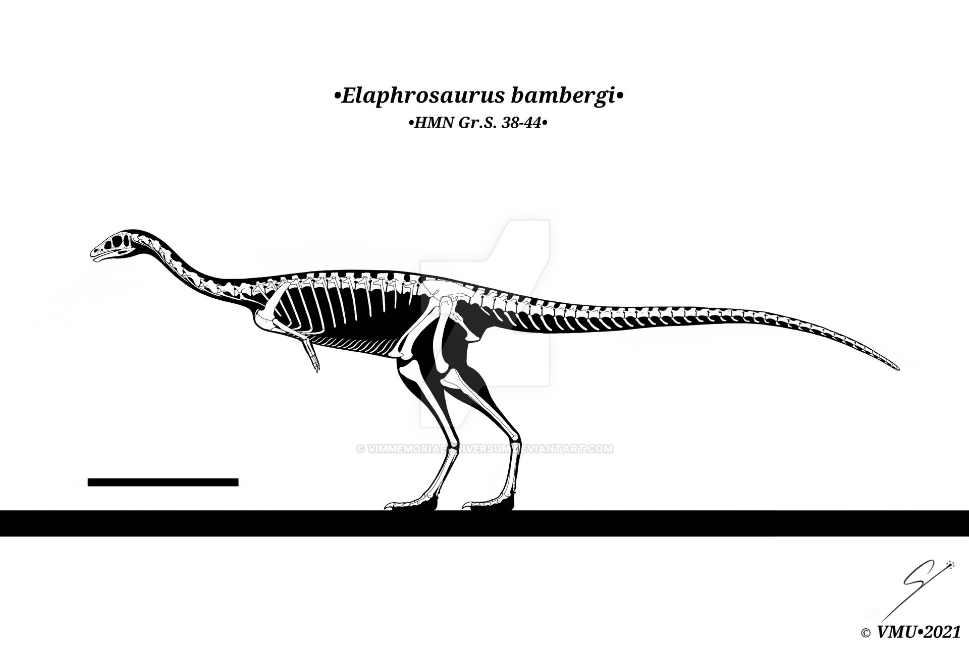 - Elaphrosaurus bambergi - by VimMemoriaeUniversum on DeviantArt
