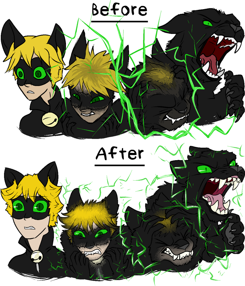 Werecat Animation Werecat transformation by SleepySundae on DeviantArt