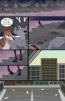 White Tail Pg 228