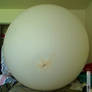white 5.5 choropreane balloon