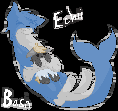 Pixel thingy - Bash and Echii