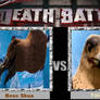 Death Battle: Boss Skua vs Falcon