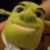 SuperMarioLogan - Shrek Icon 2