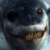 Happy Feet - Leopard Seal smile Icon