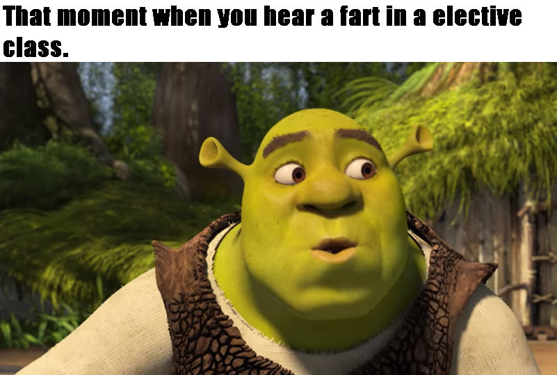 Random Shrek Fart Meme by SuperMarioFan65 on DeviantArt