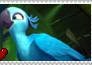 Rio - Jewel Stamp
