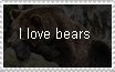 I love bears