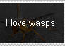 I love wasps
