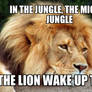 The Lion Wake Up Today