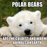 Polar Bear Meme