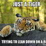 Tiger Meme