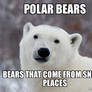 Polar Bear Meme #2