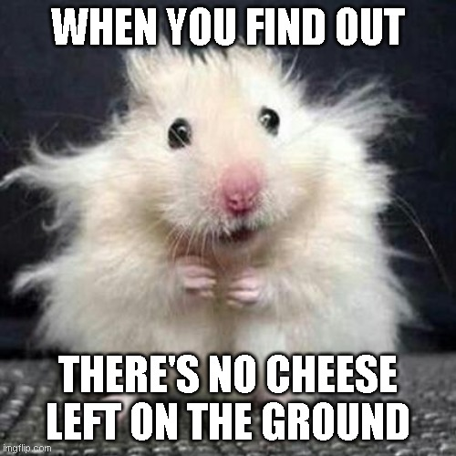 Mouse Meme 2 By SuperMarioFan65 On DeviantArt mouse-meme-2-by-supermariofan65-on-deviantart
