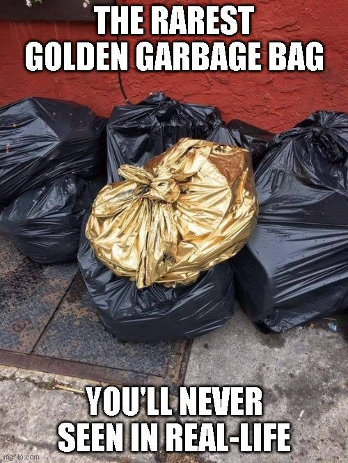 Golden Garbage Bag Meme by SuperMarioFan65 on DeviantArt