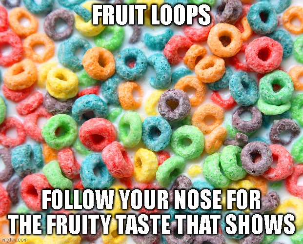 Fruit Loops Meme by SuperMarioFan65 on DeviantArt