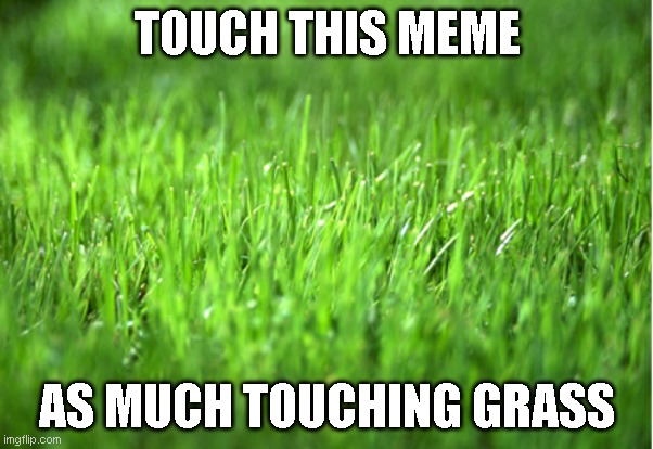 Grass Meme by SuperMarioFan65 on DeviantArt