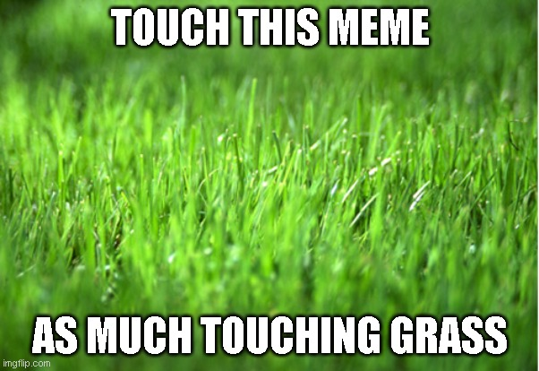 Touch grass : r/memes