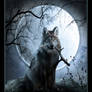 Wolf moon