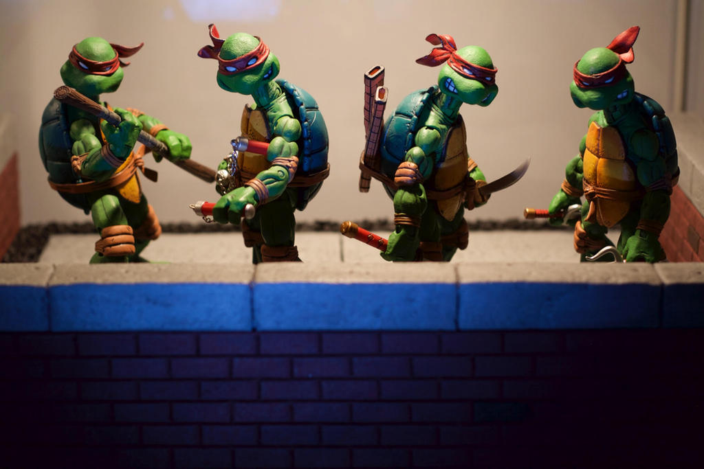 Tmnt Comic Rooftops TMNT Rooftop display by Terrafoamer on DeviantArt