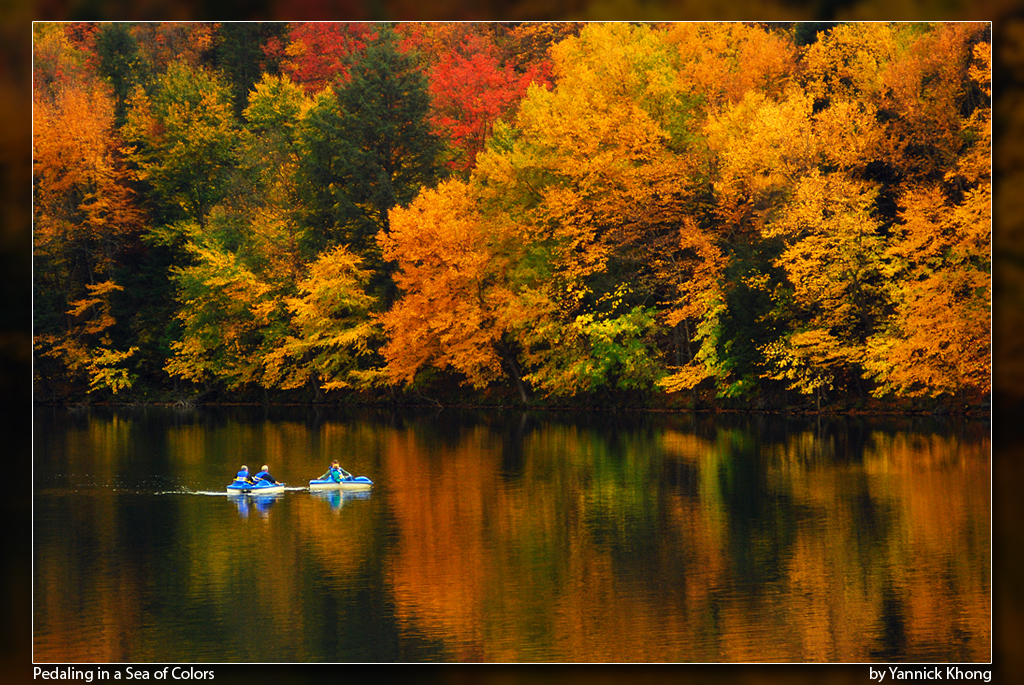 Pedaling in a Sea of Colors