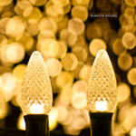 Life of Christmas Bulbs IV by confucius-zero