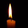 Light in the Darkness