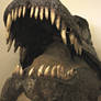 Head of a Tyrannosaurus Rex