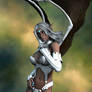 Evinessa Fantasy Sexy Devil Vamp Dark Elf 010F