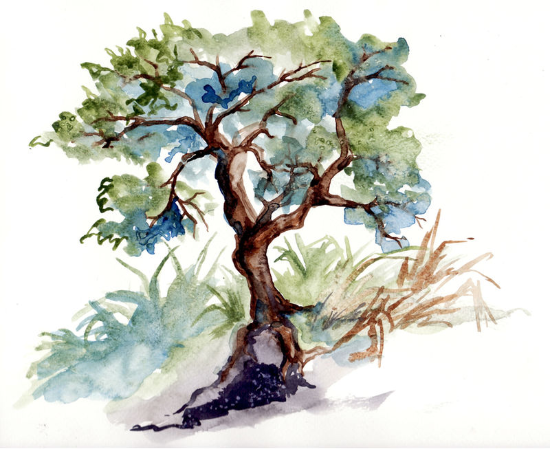 Watercolor Sketch Tree By Lunatteo On DeviantArt watercolor-sketch-tree-by-lunatteo-on-deviantart