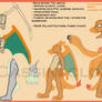 Charizard Costume Concept