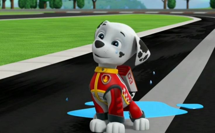 paw patrol ready race rescue by Karllthorn on DeviantArt