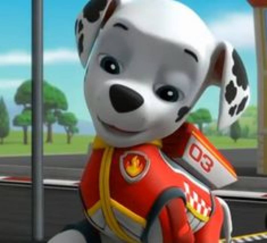 Paw patrol ready race rescue by Karllthorn on DeviantArt