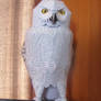 Male Snowy Owl (Hedwig) Papercraft