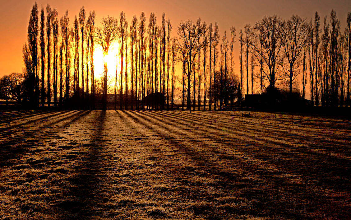 Shadowline by Capturing-the-Light on DeviantArt