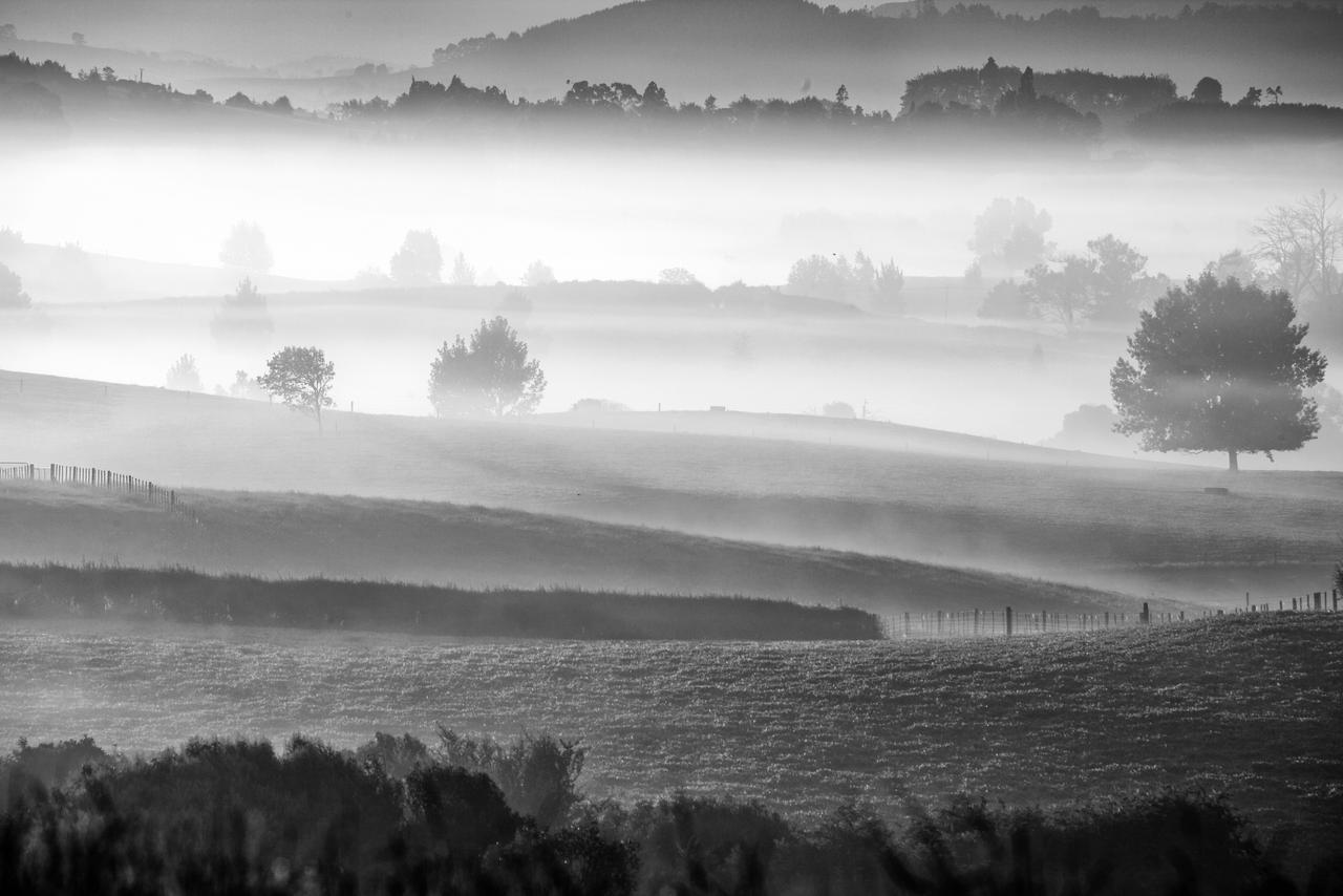 Waikato Morning