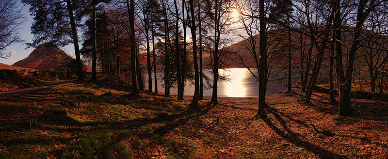 Moonlight By The Lake