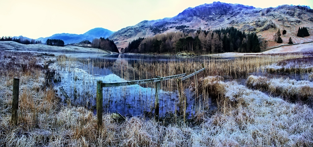 Blea Tarn 