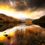 Buttermere