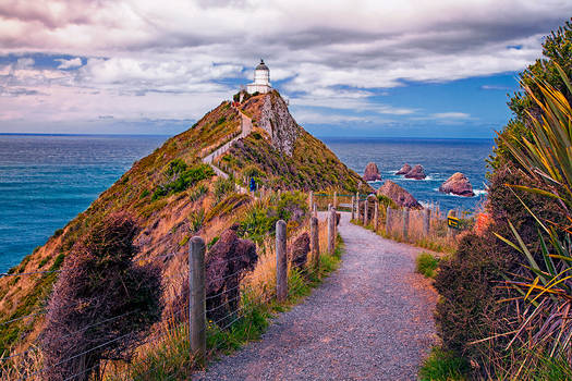 Nugget Point Ascent