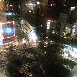 Shibuya, Japan (high up xD)