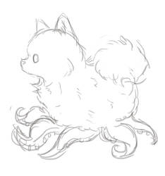 Tentadog Sketch