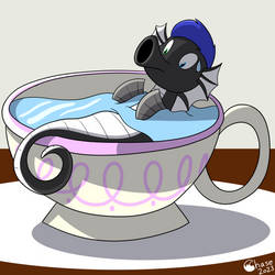 Seahorse in a Teacup